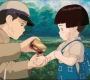 grave of fireflies
