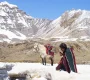 shambhala