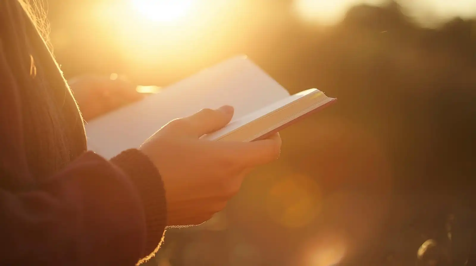 Transform Your Life Through Honest Reflection